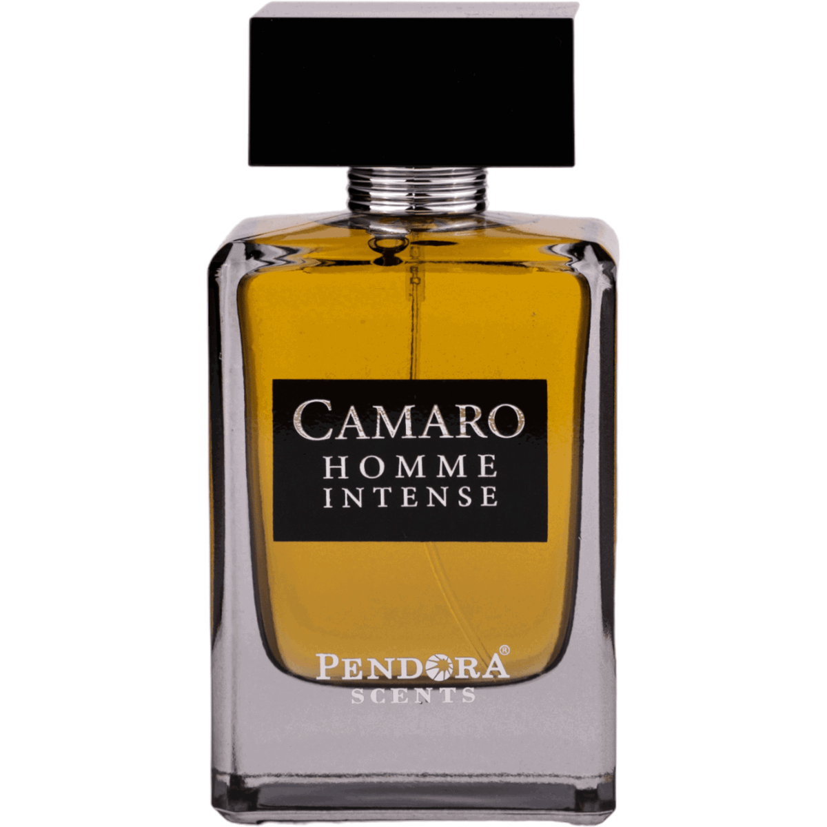 Pendora Scents, Camaro Homme Intense, Eau de Parfum, für Herren, 100 ml