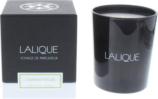 Lalique, Osmanthus Himalaya Nepal, Osmanthus, Scented Candle, 190 g