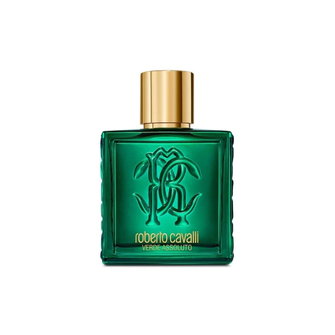 Roberto Cavalli Rc Uomo Verde Assoluto Edp 100ml