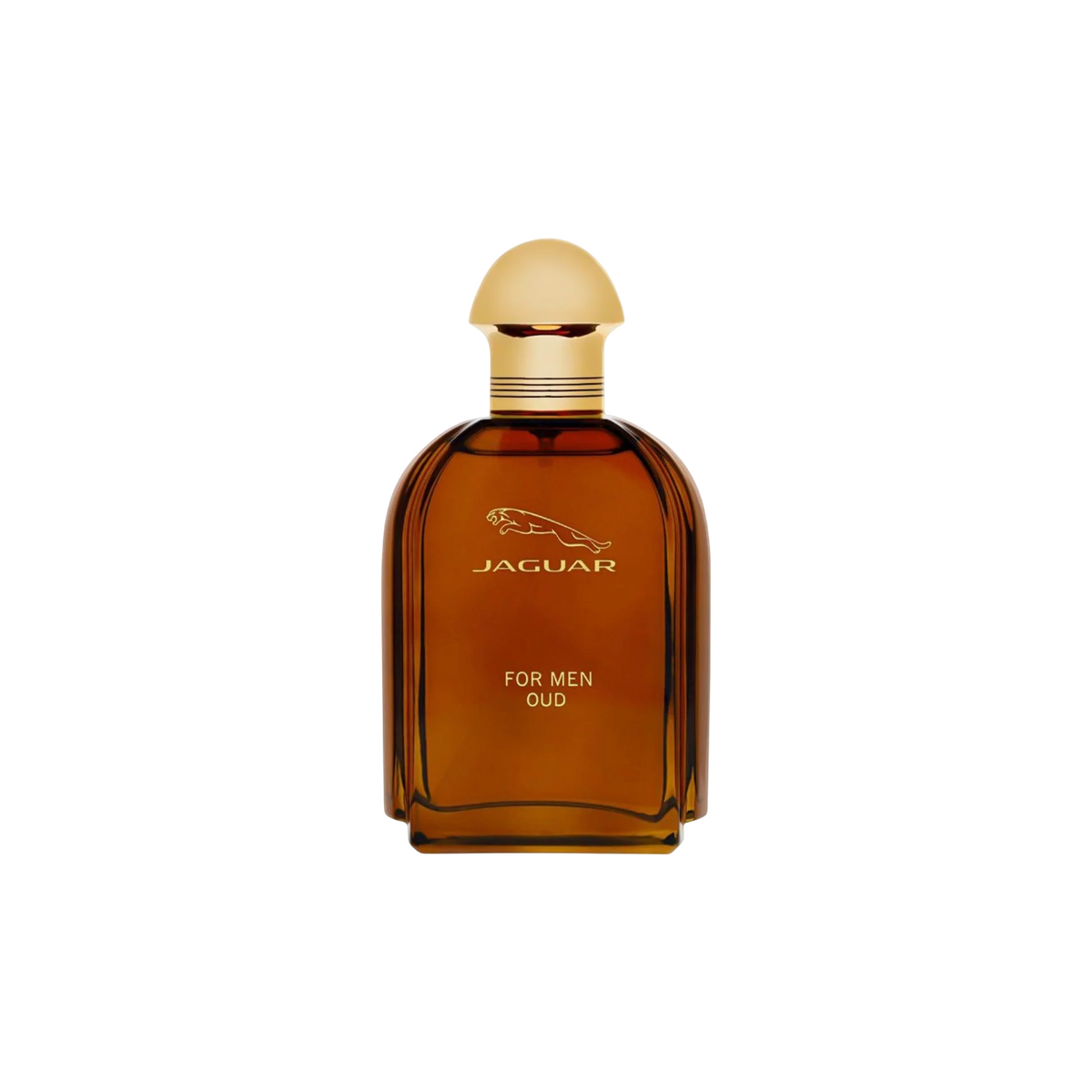 Jaguar, Oud, Eau De Parfum, For Men, 100 ml